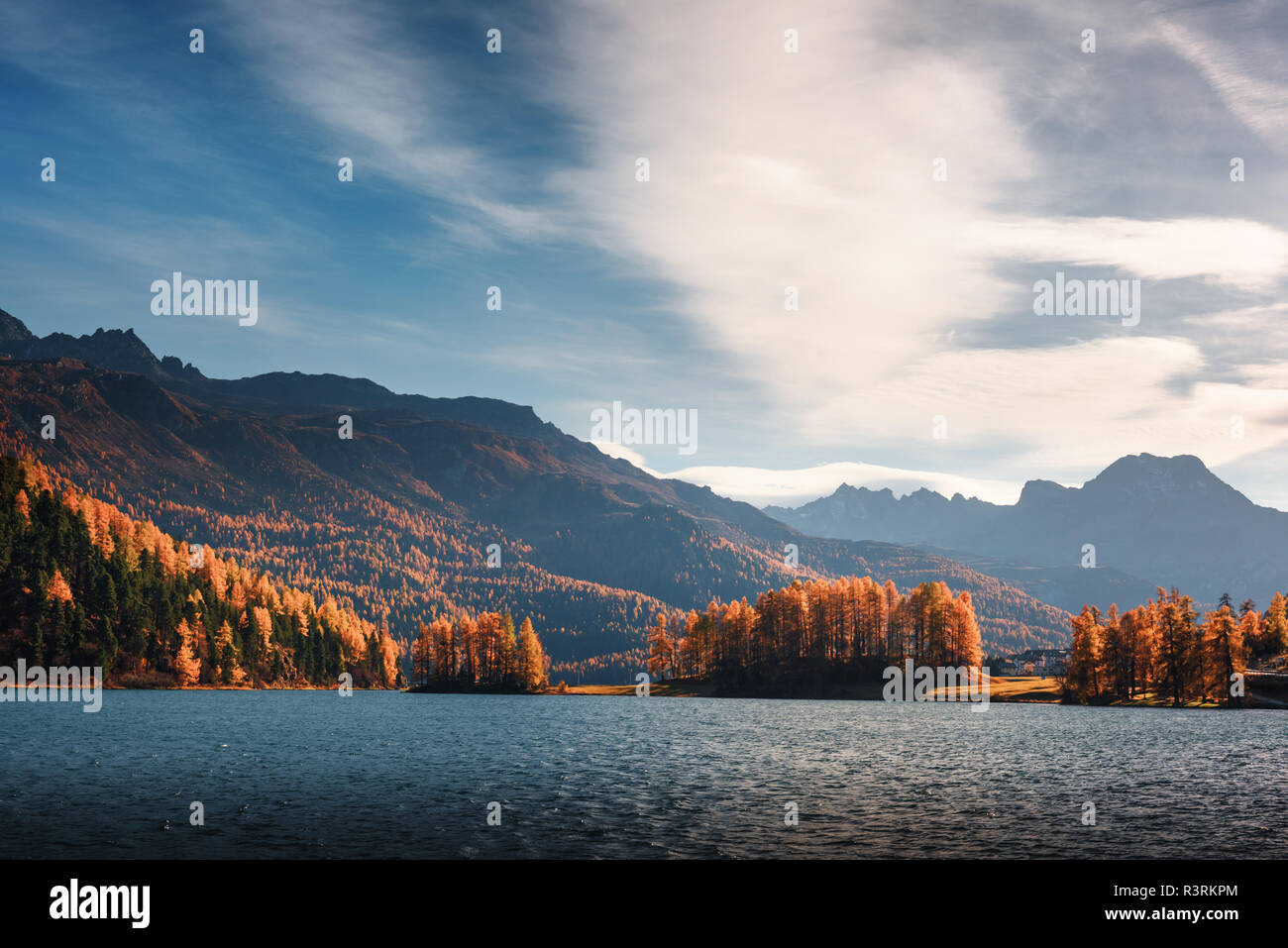 Malerischer Blick auf Herbst Silvaplanasee in den Schweizer Alpen. Bunte Wald mit orange Lärche und schneebedeckten Bergen im Hintergrund. Schweiz Stockfoto