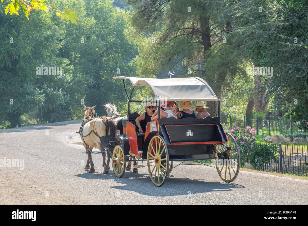 Mit der Kutsche, Olympia, Griechenland Stockfoto