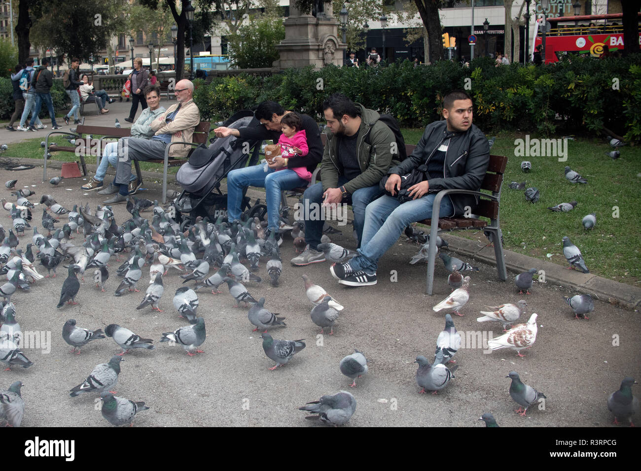 Menschen füttern Tauben im kleinen Park in Barcelona Stockfoto