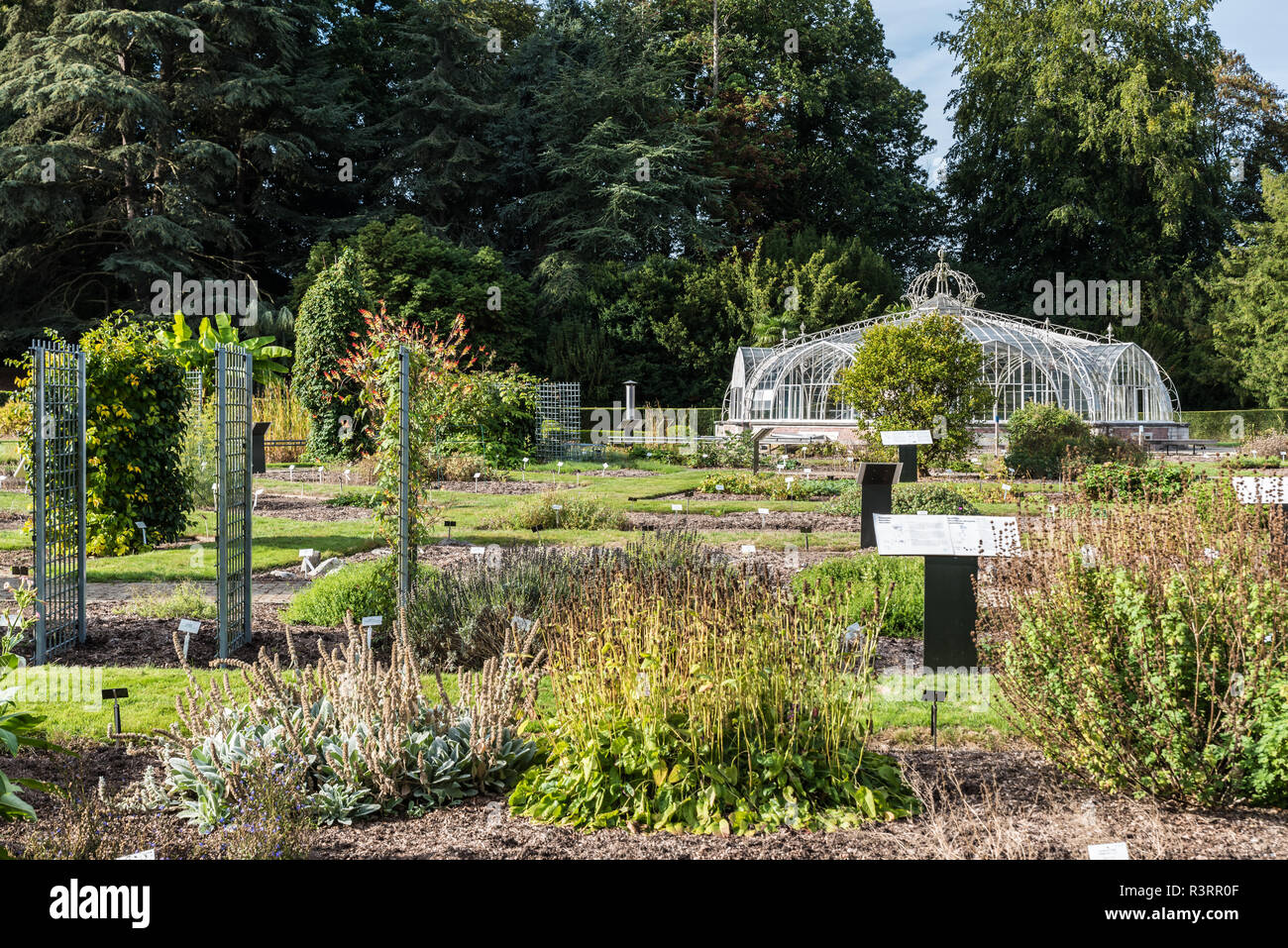 Lokale Touristen mit einem Spaziergang an der Nationalen Botanischen Gärten Besuch der Arzneimittel, Garten und Gewächshaus Stockfoto