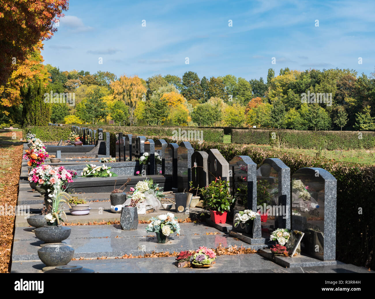 Farbenfrohe Friedhof mit Blumen und enscripted Steine auf dem städtischen Friedhof von Anderlecht, Brüssel, Belgien eingerichtet Stockfoto