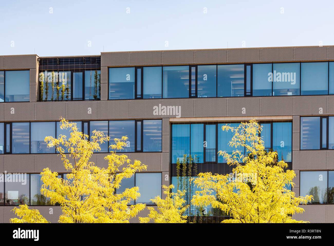 Deutschland, Karlsruhe, Büro Gebäude mit Passivhausstandard im Kreativpark Stockfoto