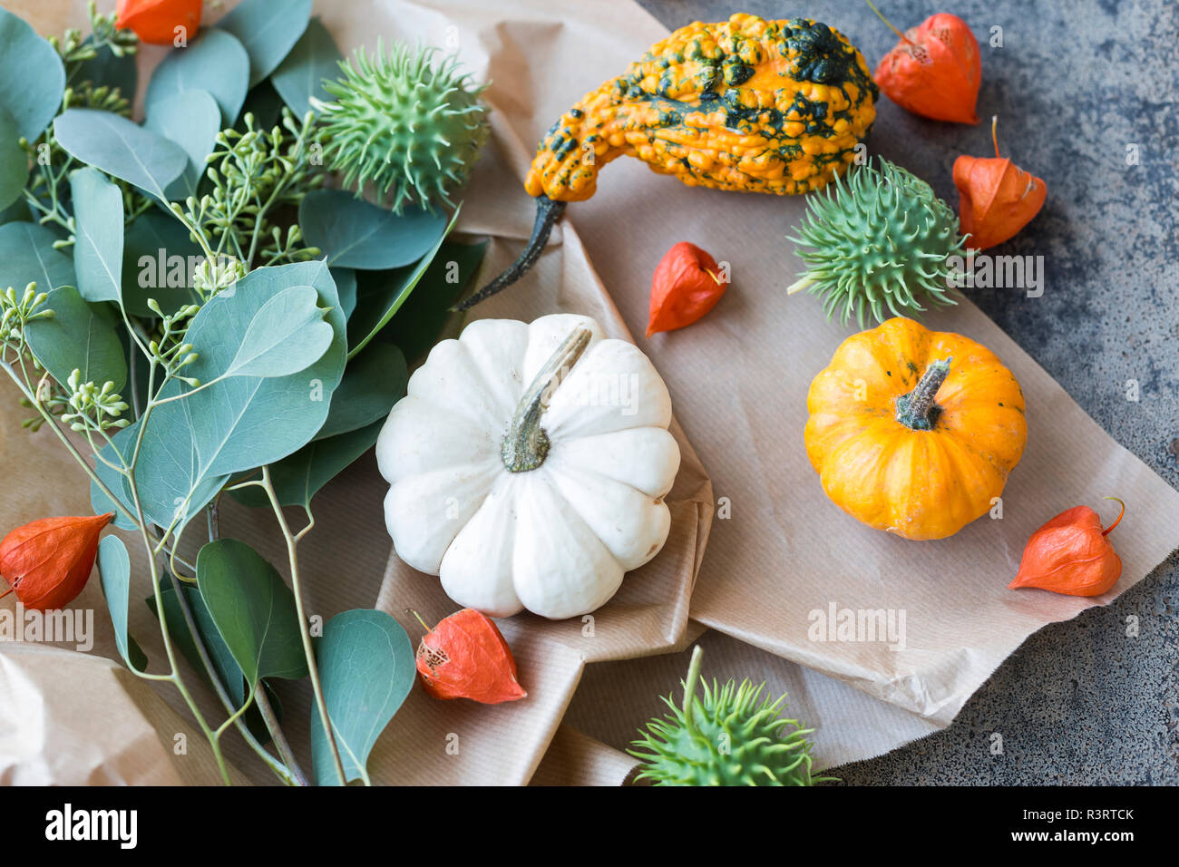 Herbstliche Dekoration, dekorative Kürbisse Stockfoto