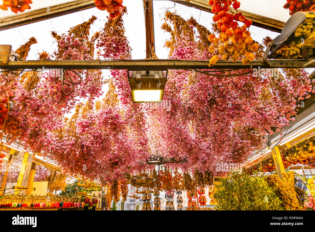 Getrocknete Blumen, Outdoor Blumenmarkt. Holzschuh Souvenirs, Singel Kanal. Amsterdam, Holland, Niederlande. Stockfoto