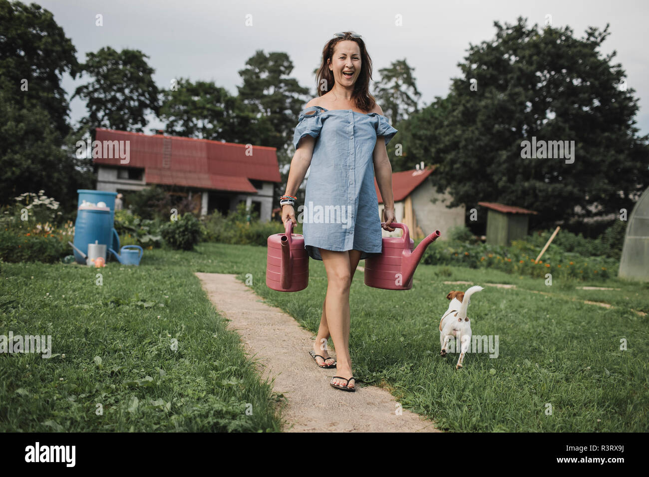 Glückliche Frau mit Jack Russel Terrier mit giesskannen im Garten Stockfoto