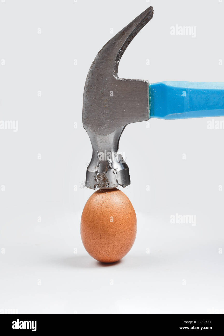 Hammer ist das Hühnerei. Konzept der Festigkeit, Haltbarkeit, Stressresistenz und Stärke. Stockfoto