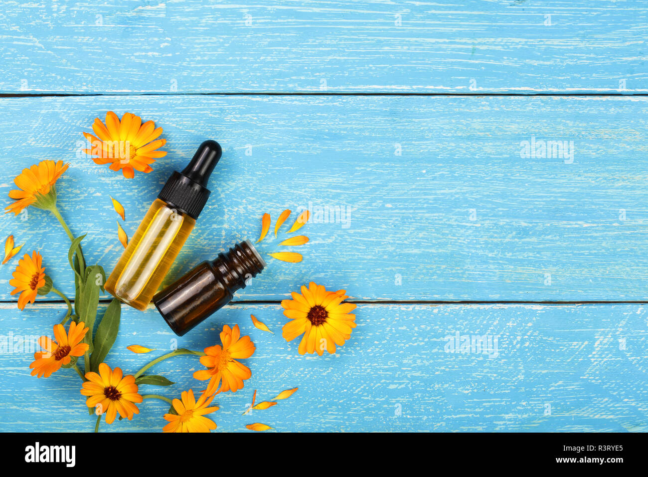 Aromatherapie ätherisches Öl mit Ringelblume Blüten auf blauem Hintergrund mit Kopie Platz für Ihren Text. Ansicht von oben Stockfoto