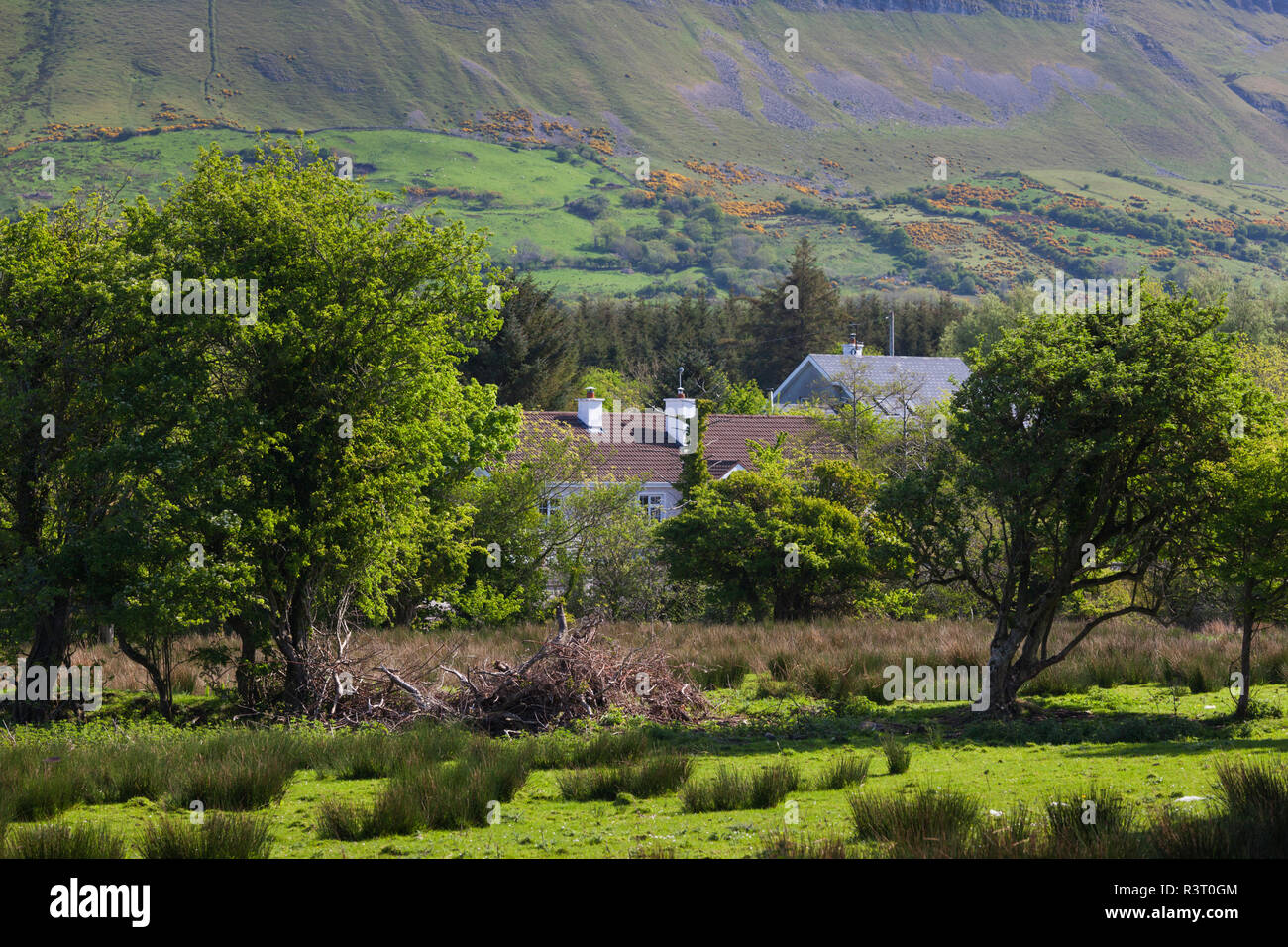 Irland, County Sligo, Drumcliff, Benbulben Berglandschaft mit Haus Stockfoto