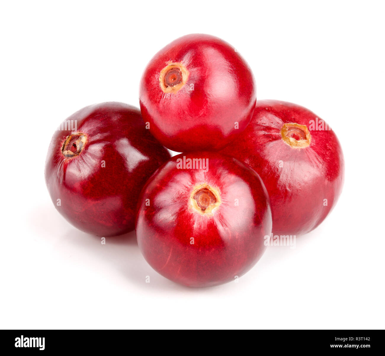 Cranberry isoliert auf weißem Hintergrund closeup Makro Stockfoto