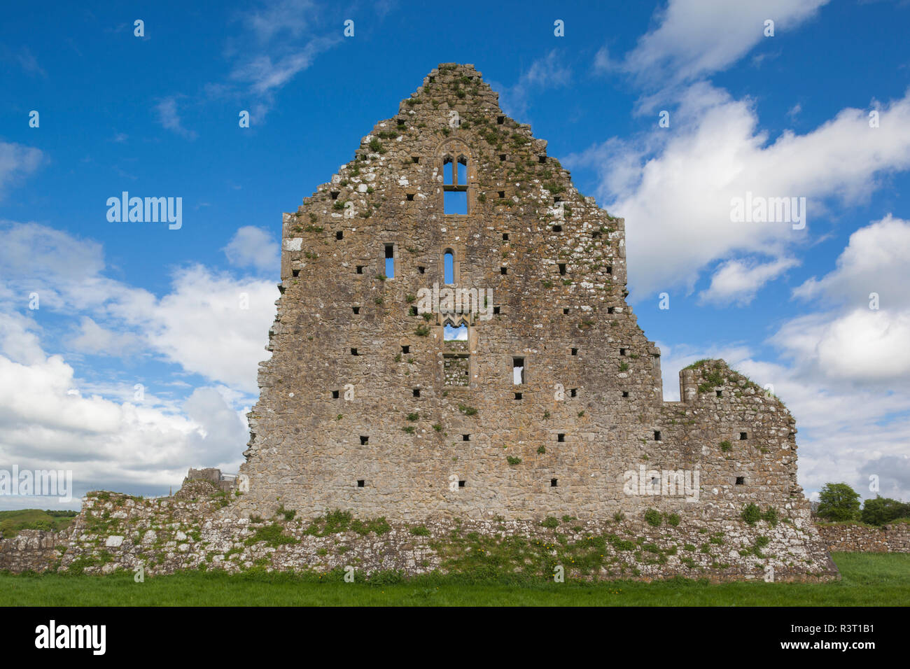 Irland, County Tipperary, Cashel, Hore Abbey Ruinen, 13. Jahrhundert Stockfoto