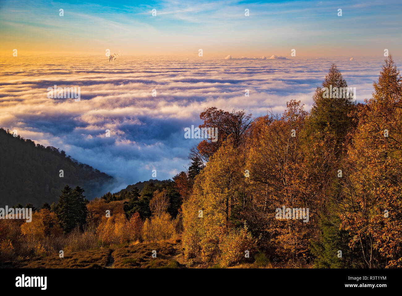 Meer von Nebel mit tief hängenden Wolken in der Oberrheinischen Tiefebene aus dem Königstuhl Aussichtspunkt, Heidelberg, Baden-Württemberg, Deutschland Stockfoto