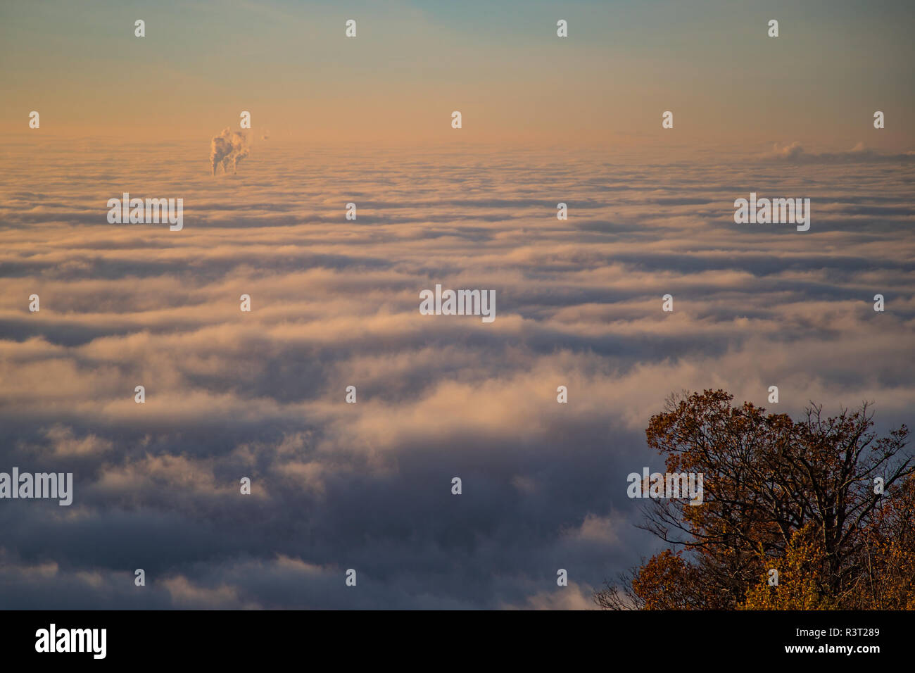 Meer von Nebel mit tief hängenden Wolken in der Oberrheinischen Tiefebene aus dem Königstuhl Aussichtspunkt, Heidelberg, Baden-Württemberg, Deutschland Stockfoto