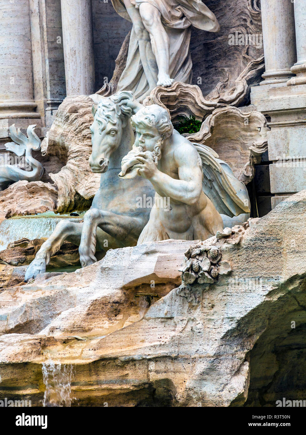 Nymphand seahorse Statuen. Trevi-brunnen in Rom, Italien. Nicola Salvi erstellt der Brunnen und wurde 1762 gebaut. Stockfoto