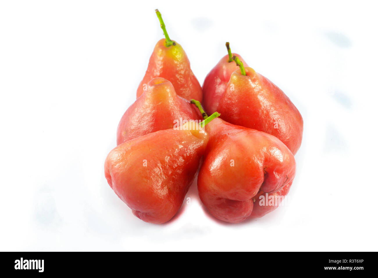 Rose apple isoliert/Gruppe von red rose Apple tropische Früchte auf weißem Hintergrund Stockfoto