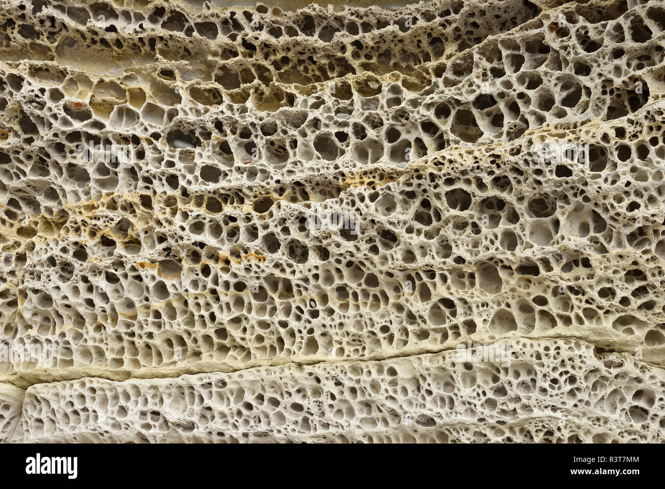 Muster der Waben Verwitterung, - oben, in der Nähe typisch auf kalkhaltige Sandsteine Stockfoto
