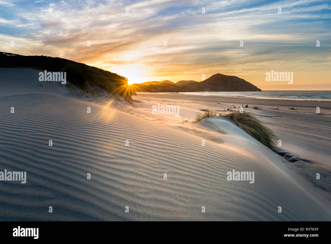Neuseeland, Südinsel, Puponga, Wharariki Beach, Dünen bei Sonnenuntergang Stockfoto