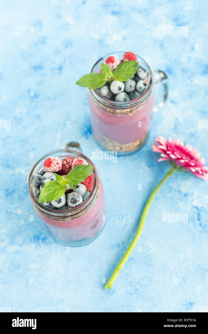 Gefrorene gerbera -Fotos und -Bildmaterial in hoher Auflösung – Alamy