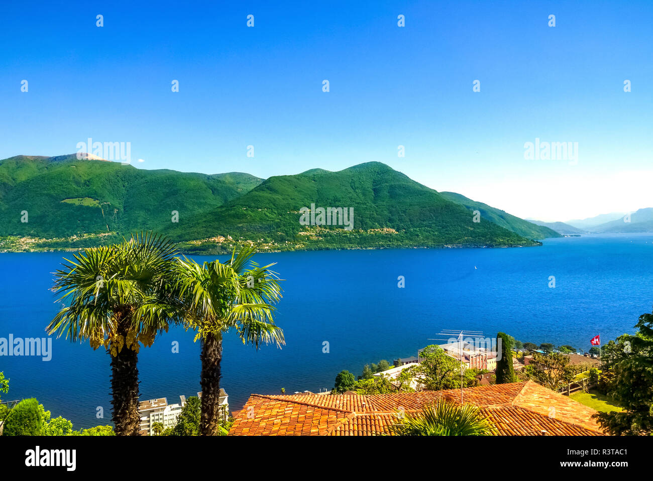 Schweiz, Tessin, Lago Maggiore, Cannobio, Palmen und Dach Stockfoto