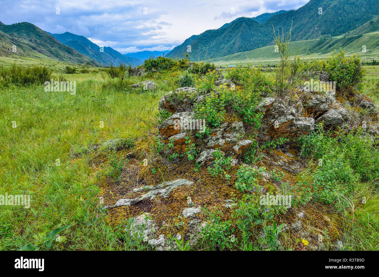 Malerische trübe Sommer Landschaft der Berge mit grünem Gras und Büschen bedeckt und mit verstreuten Felsblöcken in Altai Gebirge, Russland. Ge Stockfoto