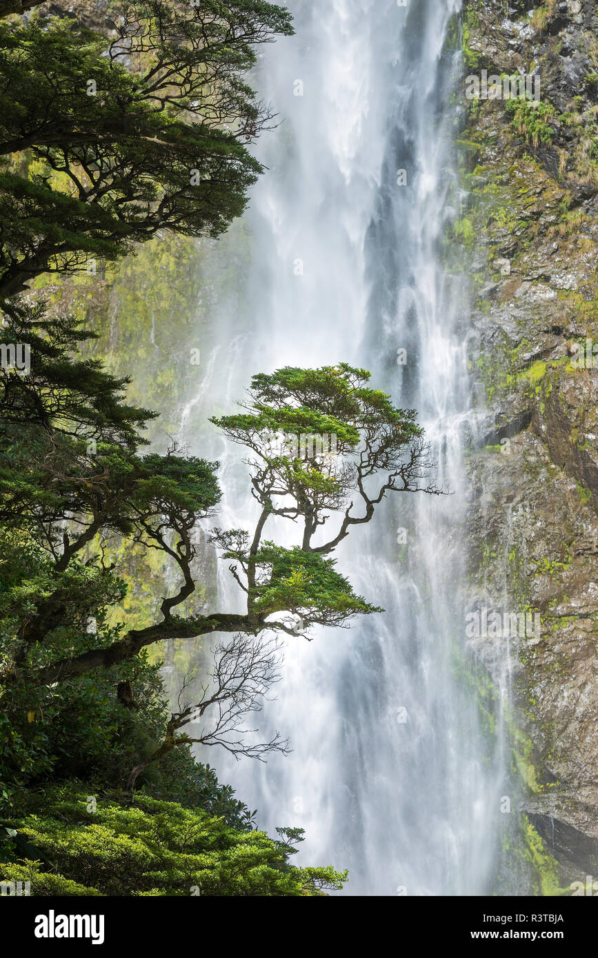 Neuseeland, Südinsel, Arthur's Pass, Devil's Punchbowl Falls, Nahaufnahme Stockfoto