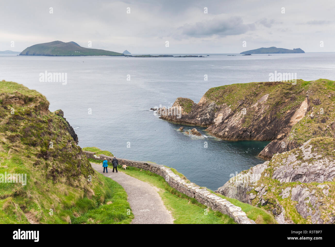 Irland, County Kerry, Dingle Halbinsel, Slea Head Drive, Dunquin, erhöhten Blick auf die Dunquin Pier Stockfoto