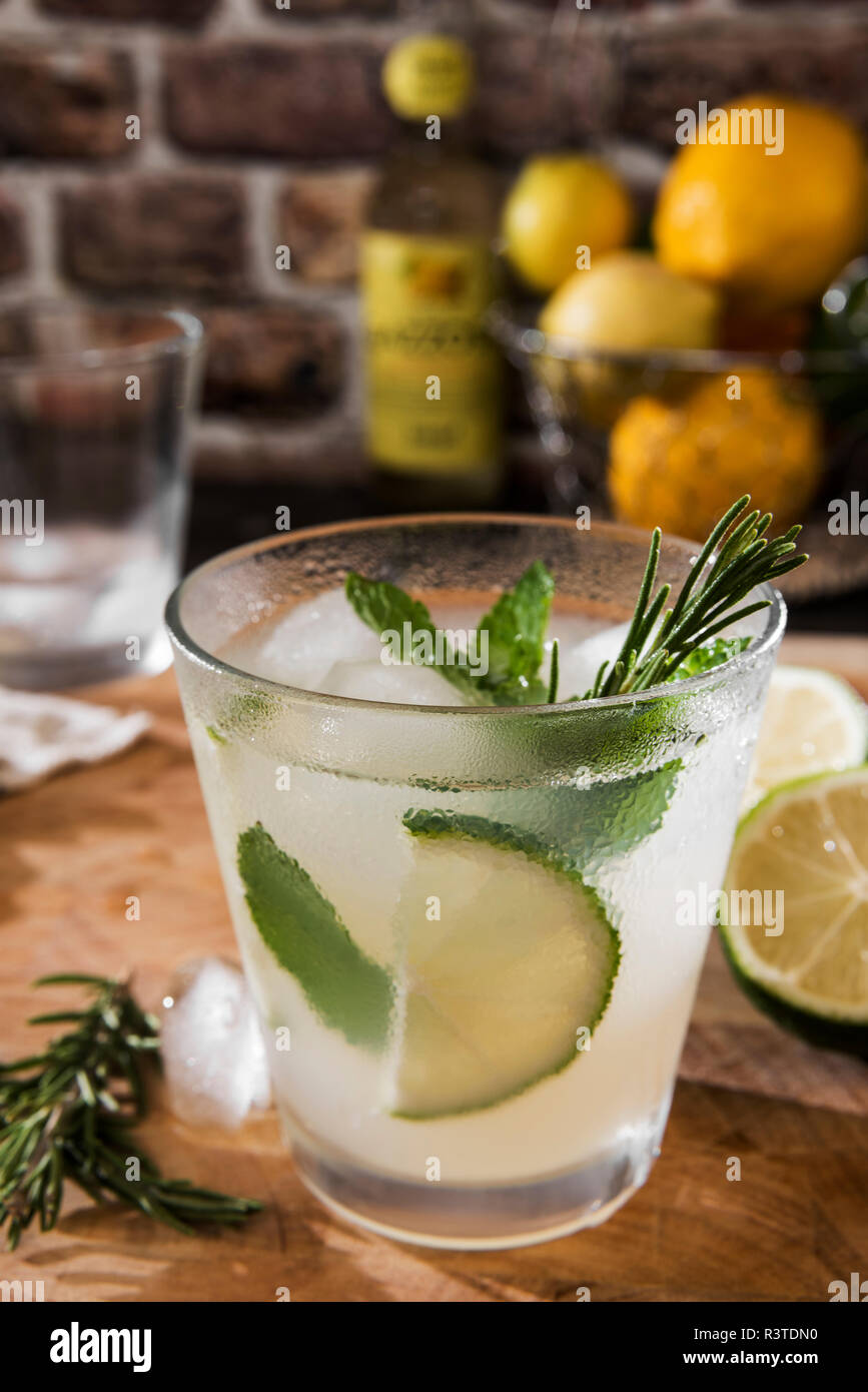 Glas Gin Tonic mit Limette, Minze, Rosmarin und Eis Stockfoto