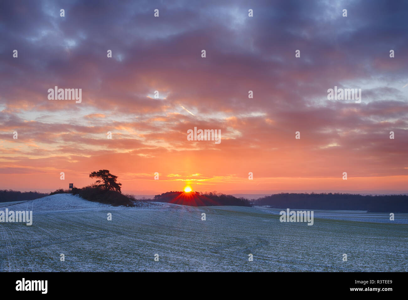 Deutschland, Bayern, Sonnenaufgang über ländliche Landschaft mit Feldern und Wald im Winter Stockfoto