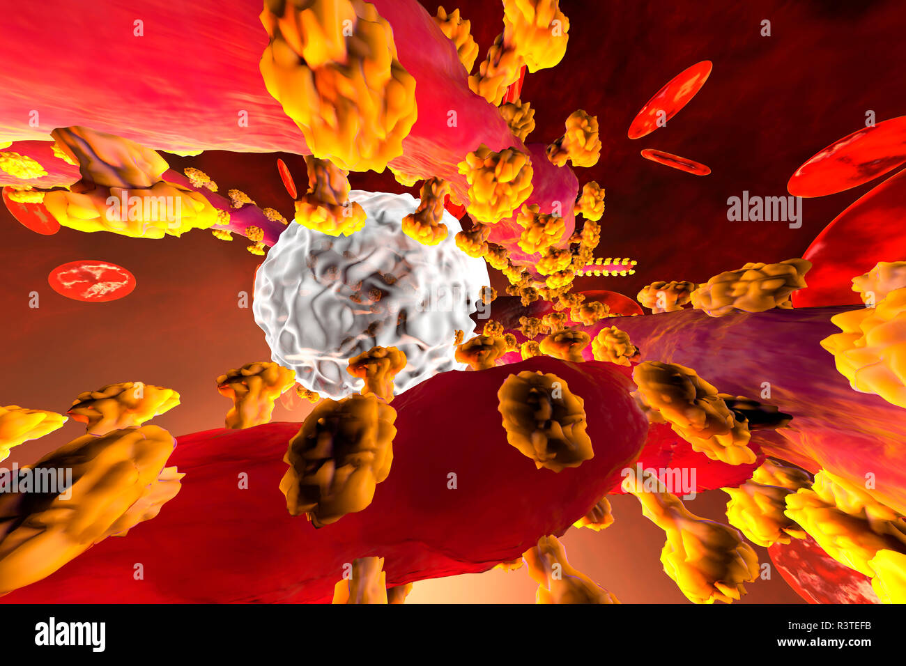 3D-Darstellung eines Ebola Virus kämpfen mit leukozyten Abwehrzellen im Blut durch erythrozytären Zellen umgeben Stockfoto