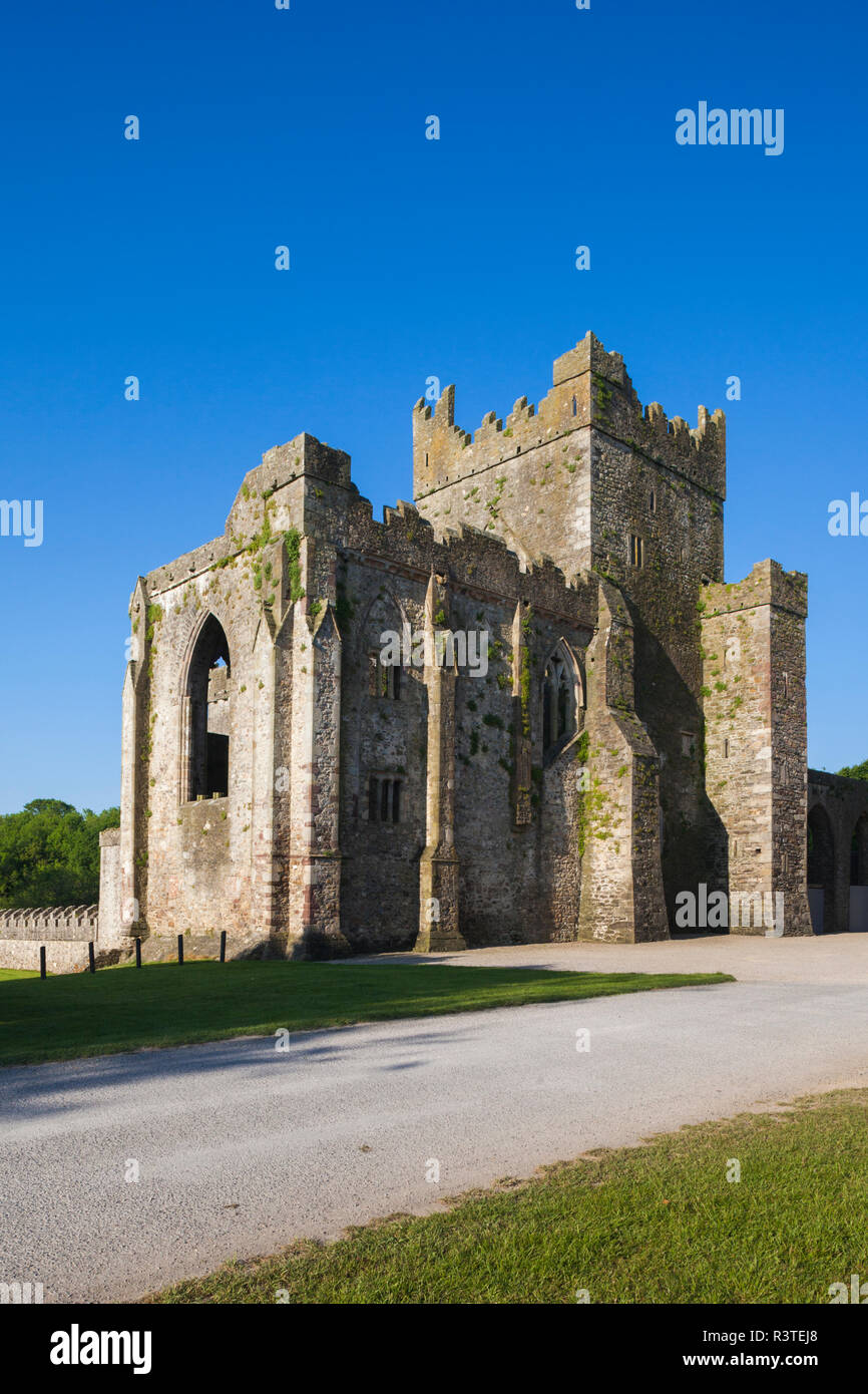 Irland, County Wexford, Hook Halbinsel, Saltmills, Tintern Abbey, 13. Jahrhundert Stockfoto