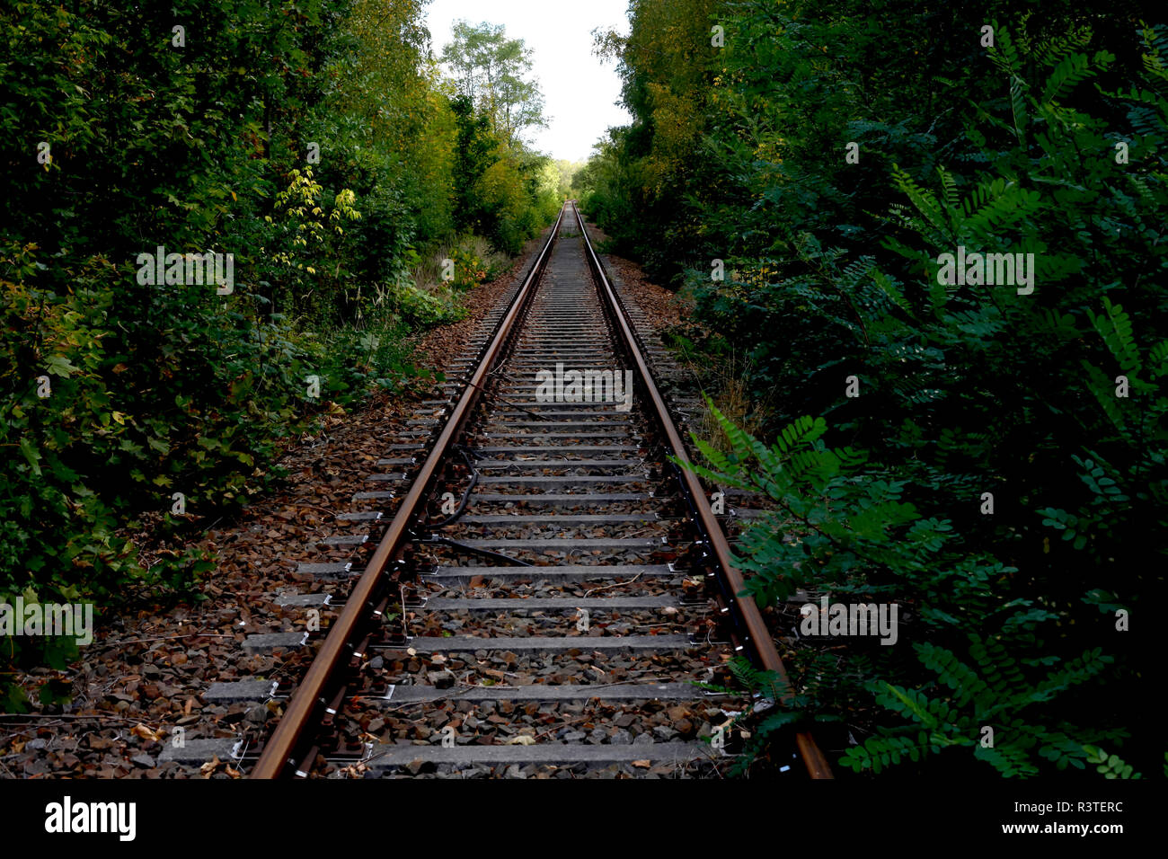 Verlassene Eisenbahnstrecke Stockfoto