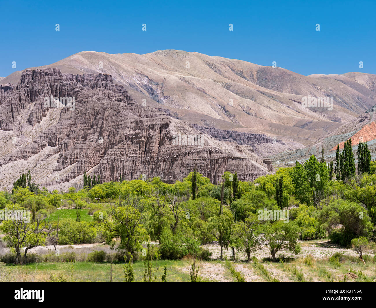 Tal des Flusses Rio Pumamarca, einem Nebenfluss der Quebrada de Humahuaca. Südamerika, Argentinien Stockfoto