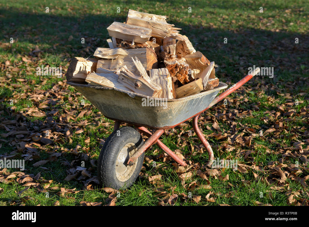Schubkarre voller Brennholz Stockfotografie - Alamy