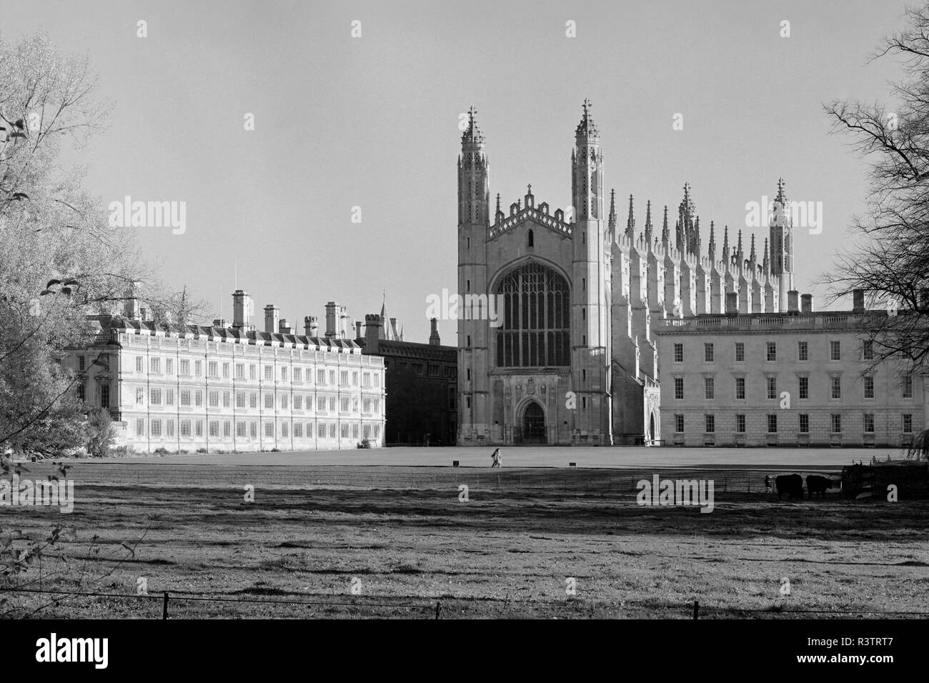 Blick vom Rücken des Kings College Chapel und Clare College Cambridge England Stockfoto