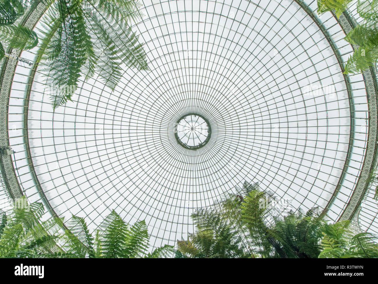 Großbritannien, Schottland, Glasgow. Glasgow Botanic Gardens, Kibble Palace Dach Stockfoto