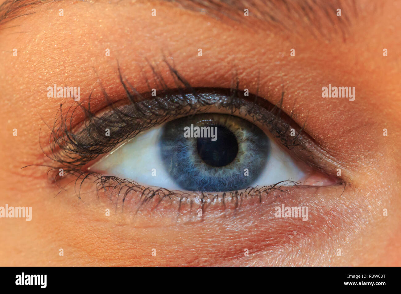 In der Nähe von blauen Augen einer Frau. Stockfoto