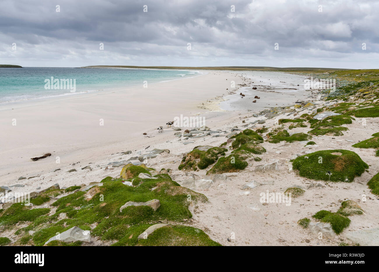 Strand auf der trostlosen Insel. Stockfoto