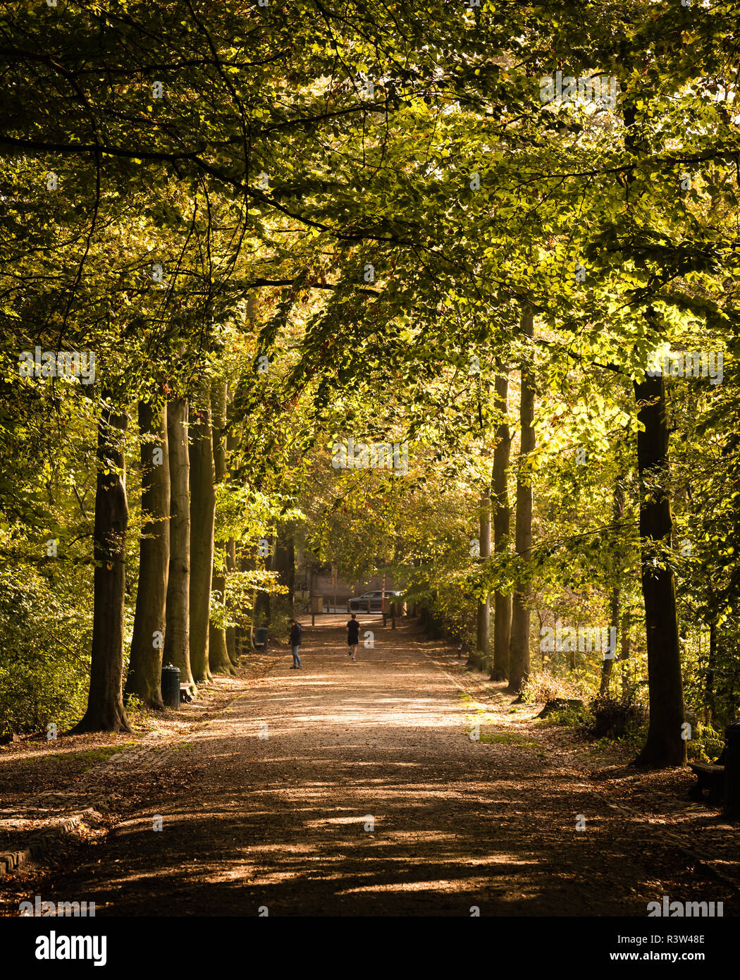 Herbst Blick über das Gras Wiesen und Bäume in der Boudewijn City Park in Brüssel, Belgien Stockfoto