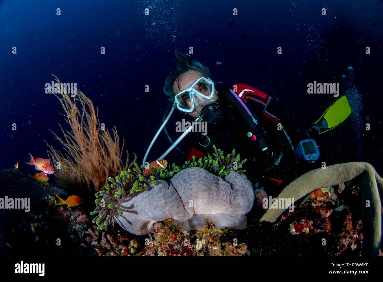 Diver portrait in Malediven Korallen Haus für Fische Unterwasser Landschaft Stockfoto