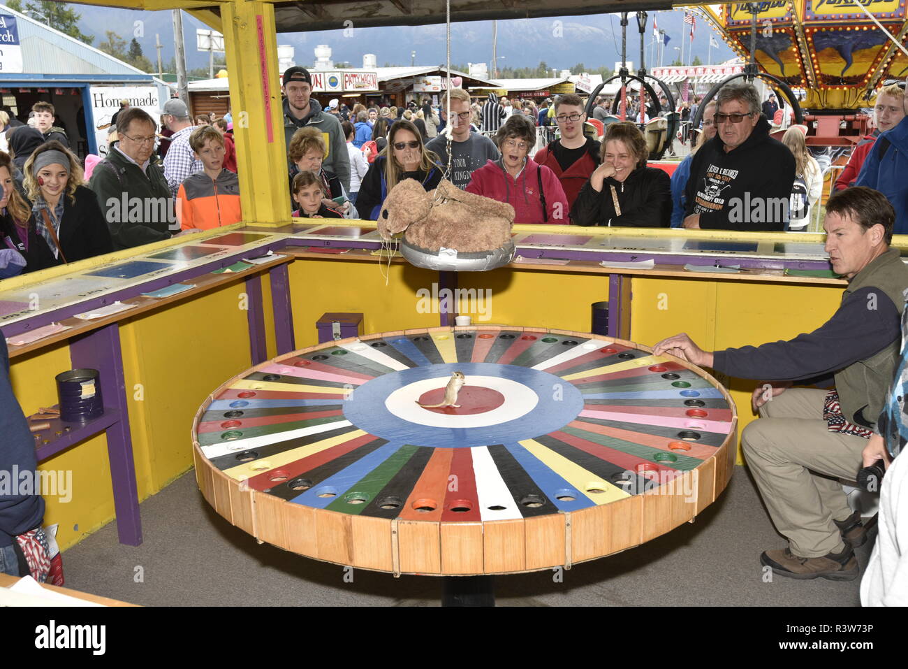 Alaska State Fair, Glücksspiel, Ratte, Spiel, Palmer, Alaska, USA Stockfoto