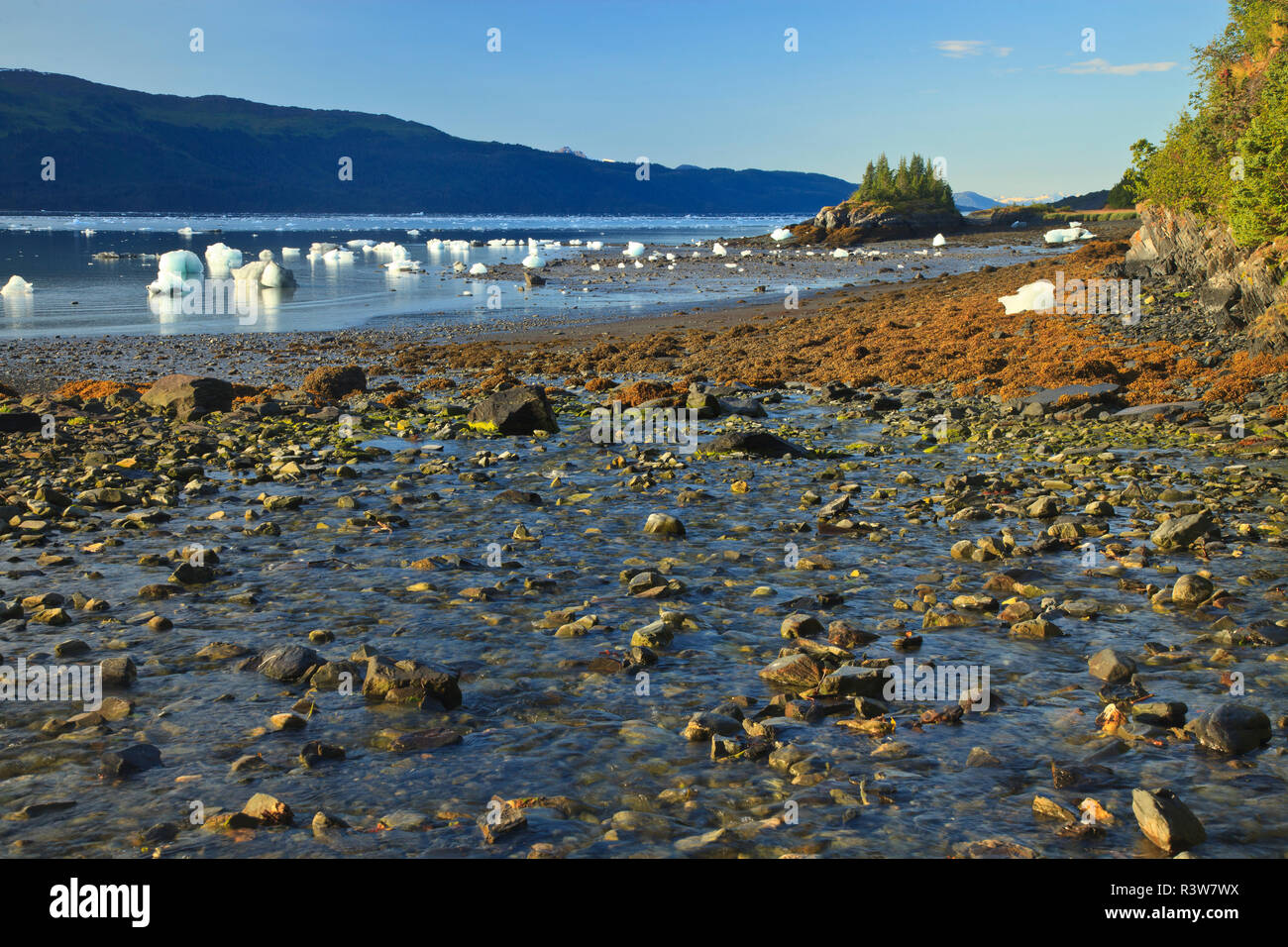 Smith Gletscher, College Fjord, Prince William Sound, Alaska Stockfoto