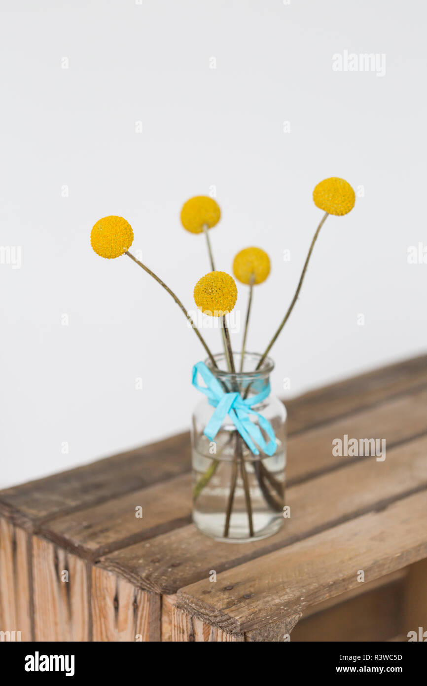 Gelbe Blüten in der Vase Stockfoto
