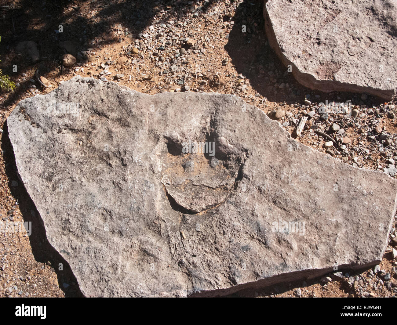 USA, Arizona, Cameron, Navajo National Monument, Dinosaur Footprint Stockfoto