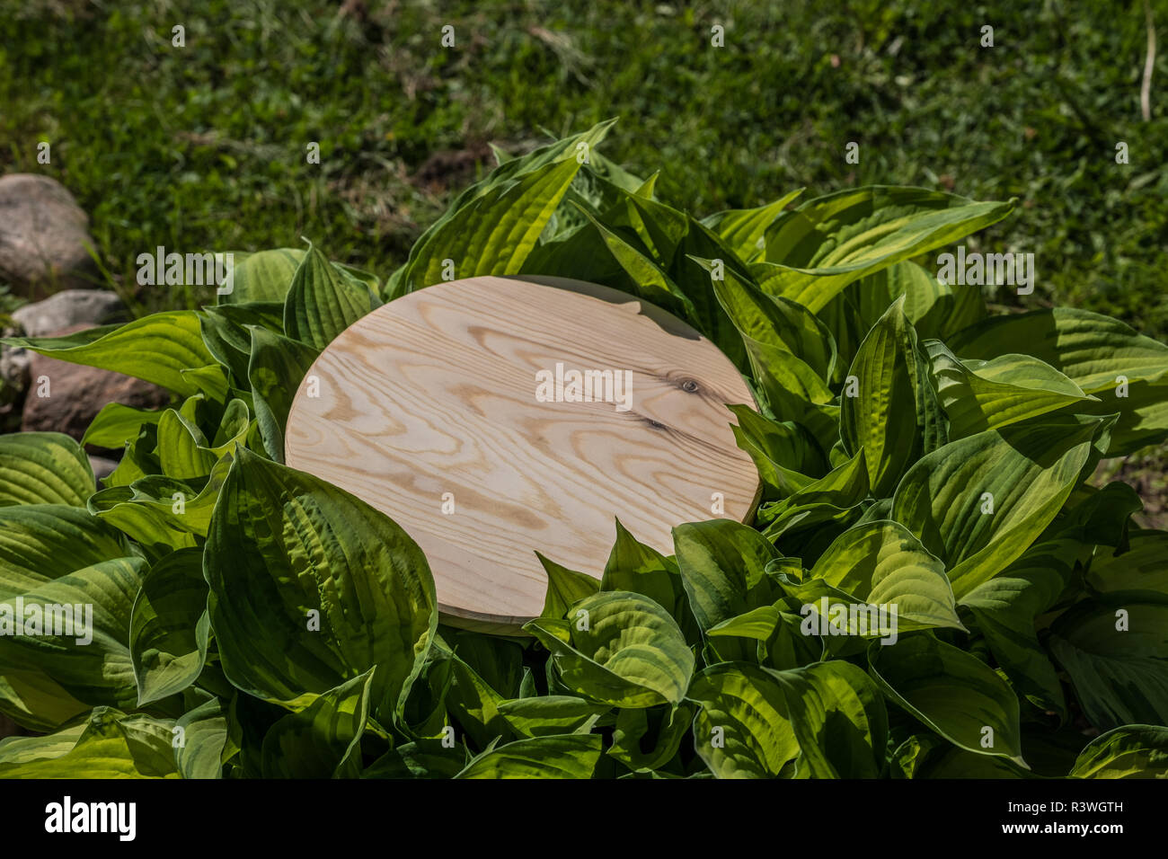 Kreative Küche Board auf einem Hintergrund von Gras 2018 Stockfoto