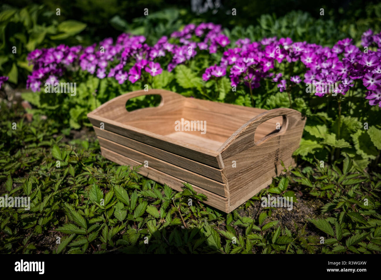 Holzkiste zur Aufbewahrung und an Dingen 2018 Stockfoto