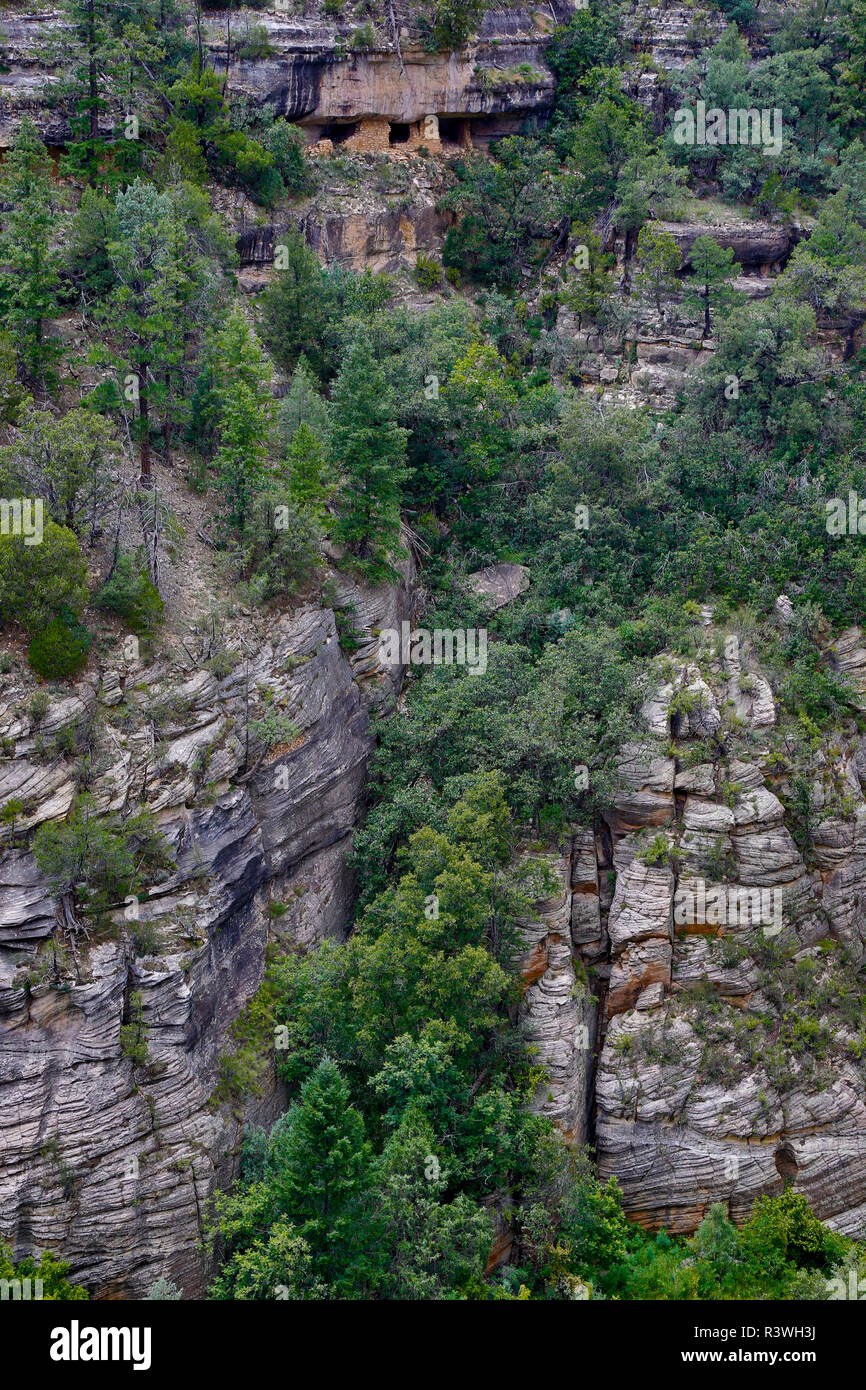 USA, Arizona. Fernsicht auf Cliff dwellings im Walnut Canyon National Monument. Stockfoto