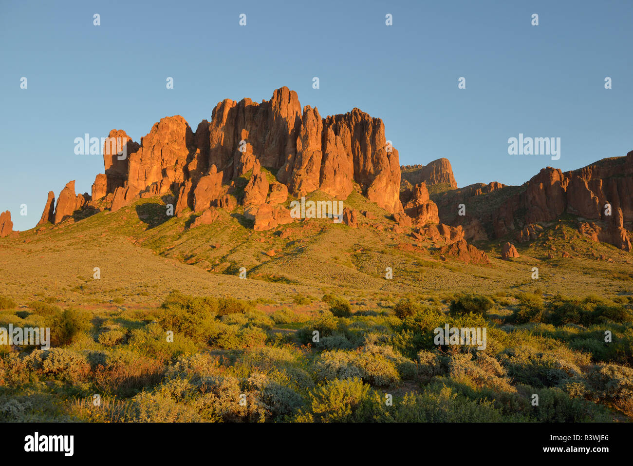 USA, Arizona. Lost Dutchman State Park, Blick auf die Superstition Mountains suchen Stockfoto