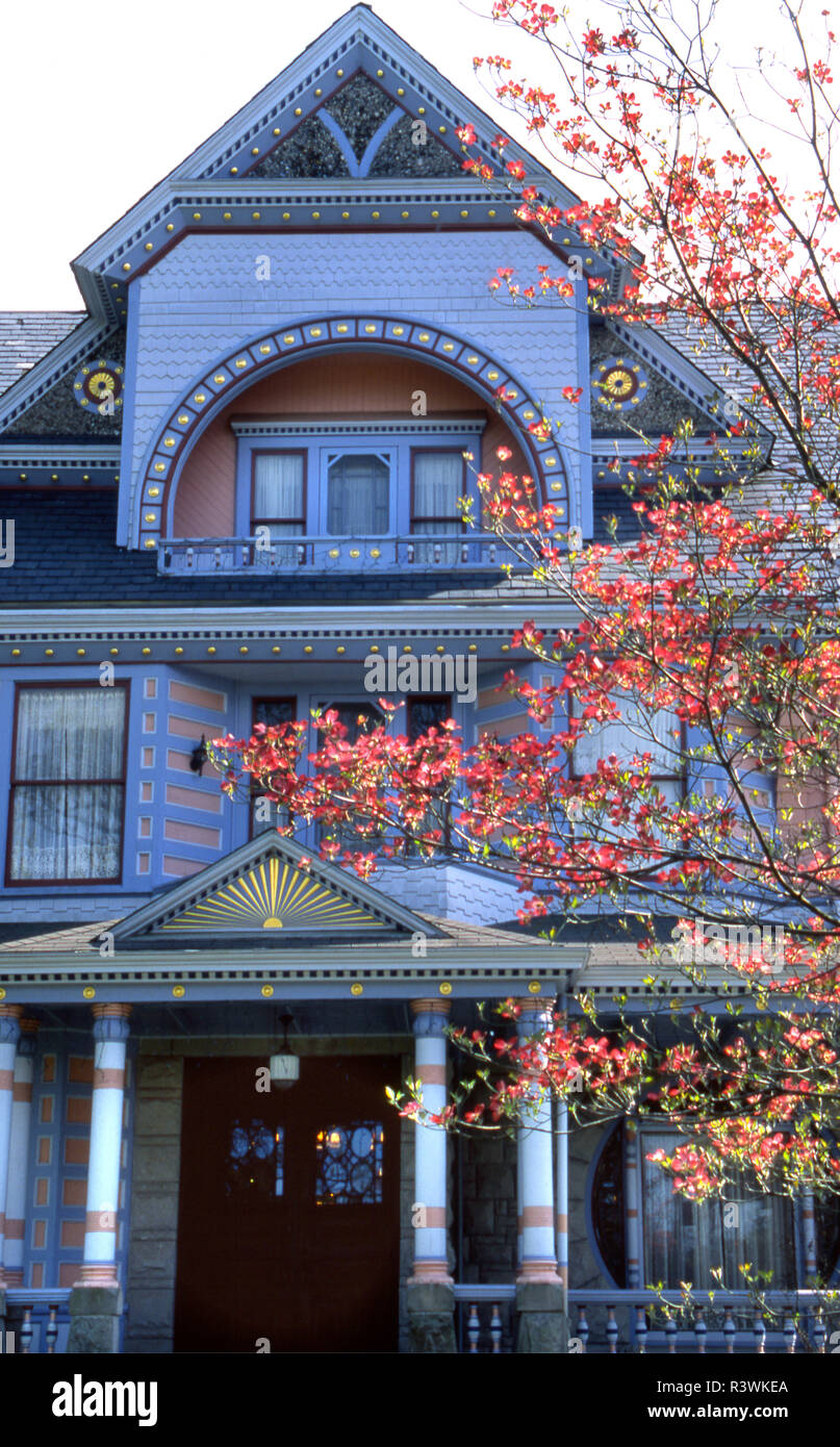 Blühende Hartriegel Bäume vor der viktorianischen Architektur, Eureka Springs, Arkansas Stockfoto