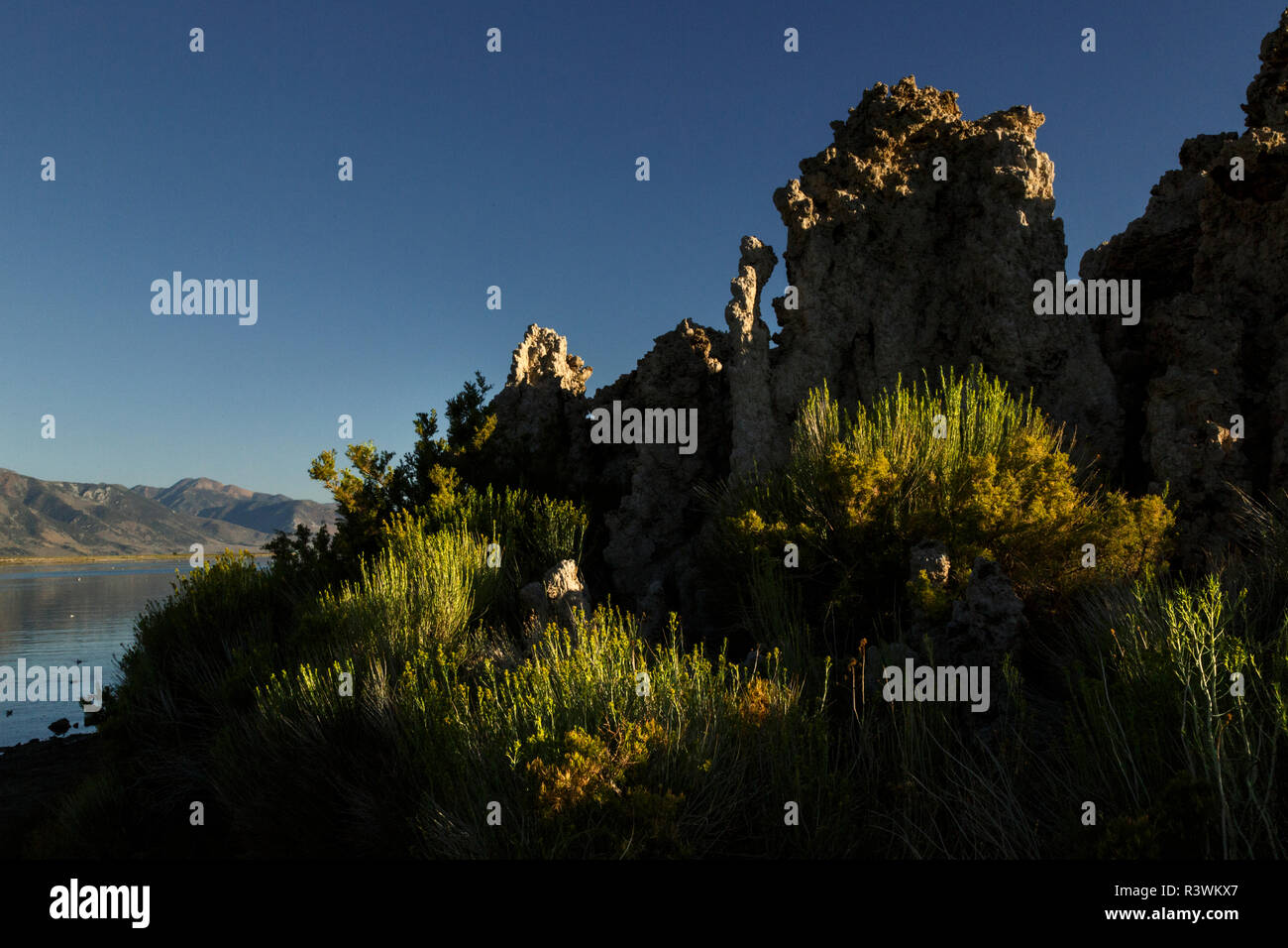 Tuffstein Türme bei Sonnenaufgang, Mono Lake, Great Basin, in der Nähe von Lee Vining, Kalifornien. Stockfoto