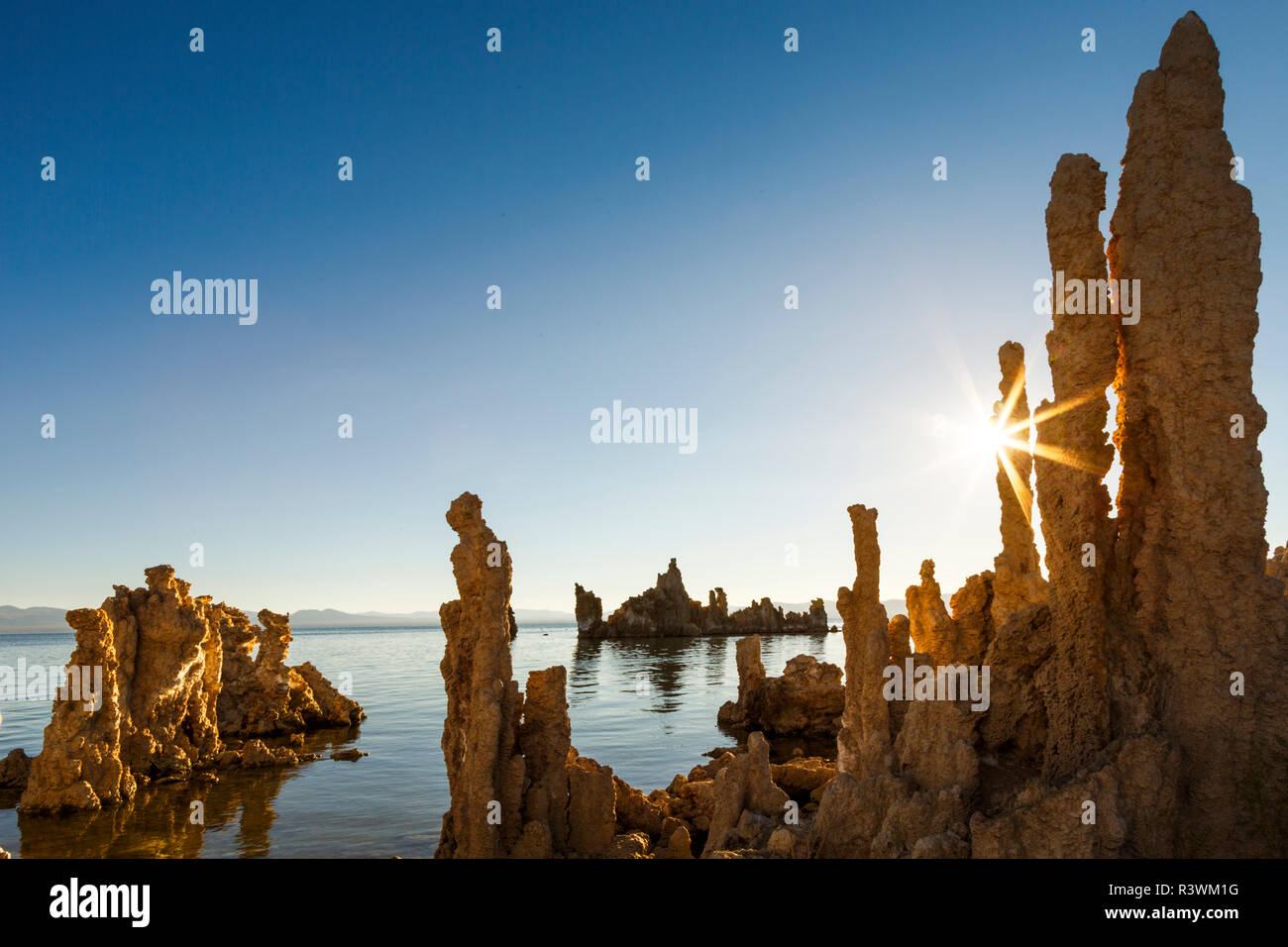 Tuffstein Türme bei Sonnenaufgang, Mono Lake, Great Basin, in der Nähe von Lee Vining, Kalifornien. Stockfoto