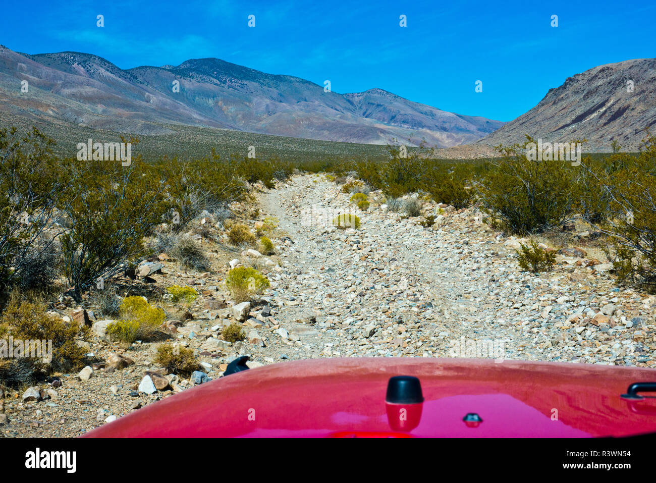 USA, Kalifornien. Death Valley National Park, Butte Valley Road Stockfoto